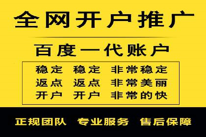 SEM网络推广案例：打造行业影响力品牌